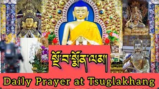 སྔོ་བ་སྨོན་ལམ།  Everyday prayer to BodhiSattvas  Lang Tibetan [upl. by Alison]