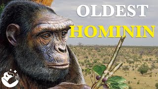 The Fascinating Origins of Hominins [upl. by Lierbag]