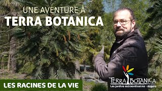 Une Aventure à Terra Botanica Les Racines de la Vie [upl. by Meraree53]