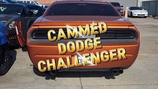 Cammed Dodge Challenger  FRP Tomahawk 20 [upl. by Broddie876]