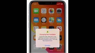 Liquid detected in lightning connector Iphone 13 Fix [upl. by Eveline179]