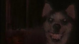 Reaction To Smile Dog A Creepypasta Film By Neha Lalani [upl. by Eimyaj]