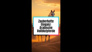 Zauberhafte Eleganz Arabische Vollblutpferde pferd eleganz [upl. by Emolas]