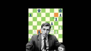 Bobby Fischer Brilliancy  4  ✨🤫 [upl. by Tom]