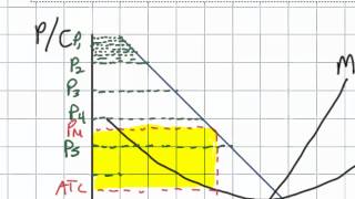 First Degree Price Discrimination and its Effect on Efficiency in a Monopolistic Market [upl. by Enyak]