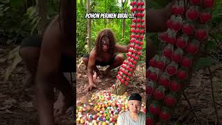 Pohon permen viral food survivalskills funny primitive mukbang bushcraft eating survivaltool [upl. by Bergwall537]