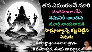 నేనే చేయాలంటే నేనే చేయాలని పోటీ పడి మరీ శివుడిని అర్చించిన ఈ జీవులకు ఏకంగా మోక్షమే ఇచ్చేసిన శివుడు [upl. by Uehttam]