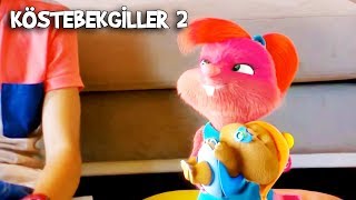 Köstebekleri Çalmaya Çalıştılar  Köstebekgiller 2 Gölgenin Tılsımı Animasyon Filmi [upl. by Nnylodnewg346]