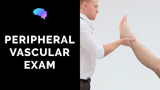 Peripheral Vascular Examination  OSCE Guide Latest  UKMLA  CPSA [upl. by Anastassia]