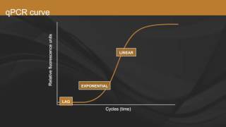 Overview of qPCR [upl. by Notsirb]