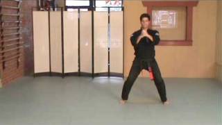 Rick Jeffcoats  American Kenpo Karate  S1  Short Form 1 [upl. by Moulton]