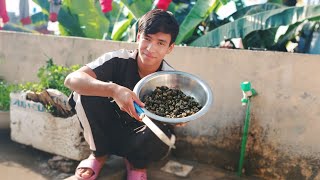 aaja pahilo choti maile ghar ma Ghungi banako । [upl. by Enicar167]