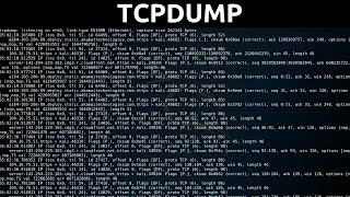 tcpdump  Traffic Capture amp Analysis [upl. by Sabino]