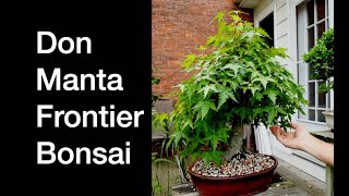 Frontier Bonsai Daves Bonsai E456 [upl. by Jeconiah]