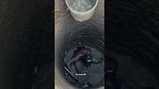 Poor people dug a well 🥵 shortsvideo [upl. by Giraud]