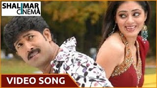 Allare Allari Movie  Nuvvaaina Nenainaa Video Song  Allari NareshVenuParvati Melton [upl. by Vaientina]