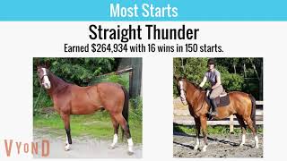 2019 Thoroughbred Makeover By The Numbers [upl. by Nehtan716]