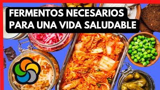 Los fermentos que necesitas para tener una vida saludable [upl. by Emmi]