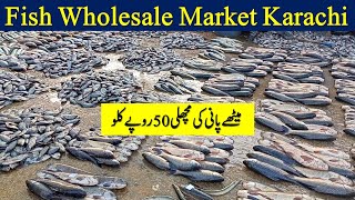 Fish Wholesale Market in Karachi 2023  Karachi Fishery  methy pani ki machli market Karachi [upl. by Tavey941]