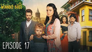 Wounded Birds  Episode 17  Multi Lang Subtitles Turkish Drama  Yaralı Kuşlar 2019 [upl. by Egerton1]