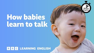 How babies learn to talk ⏲️ 6 Minute English [upl. by Jacquelyn]