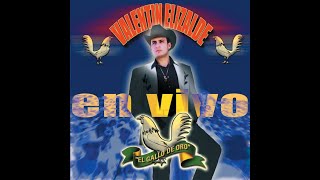 MIX CORRIDOS VALENTIN ELIZALDE EN VIVO [upl. by Nylatsyrk]