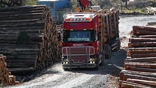 Scania R500 Timber Truck \8 Sound [upl. by Aydiv]