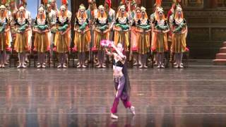 Sae Eun Park Nikiya VariationDance with Flower Basket Act 2 La Bayadere 박세은 발레리나 라 바야데르 [upl. by Cnut]