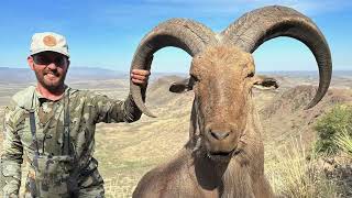 2023 West TX Aoudad Hunt  Las Matasones XXXXI [upl. by Bible251]