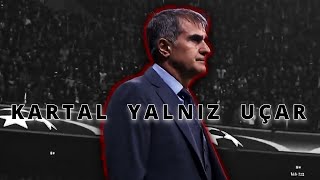 Şenol Güneş  Güneş Topla Benim İçin [upl. by Yerroc]