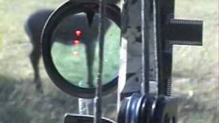 SABO Bow Sight by Tactical Archery Systems [upl. by Eserrehs575]