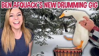 Ben Afquack the duck gets a new job as a drummer [upl. by Edveh]