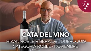 Cata del vino Hizan Roble Ribera del Duero 2019  Vinos del mes Noviembre Membresía Roble [upl. by Adnuhser]