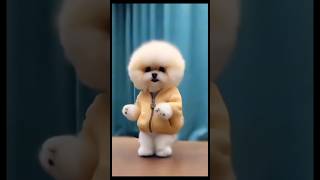 Cute cat viral dancing 😂 shorts dance [upl. by Perusse631]