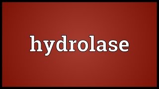 Hydrolase Meaning [upl. by Col]