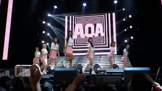 FANCAM 150808 AOA performs 흔들려 Confused at KCON NY 2015 [upl. by Rovert506]