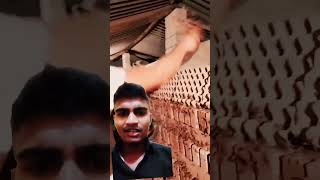 चीन में बिच्छू का खेती।।😲 China mein bichhu ka kheti scorpion agriculture youtuber shorts [upl. by Talich]