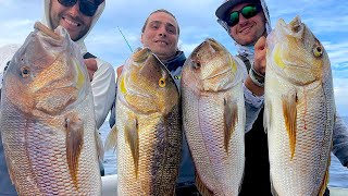 Pesca ai DENTICI con il Matto  The Island Ep1 [upl. by Beasley302]