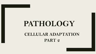 PATHOLOGY CELLULAR ADAPTATION PART 02ATROPHY METAPLASIA AND WRITTEN QUESTIONS patho adaptation [upl. by Yeniar]