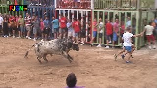 10 Toros Fiestas Sant Bartomeu 2013  Nules Castellon Bous al Carrer Toros FJGNtv [upl. by Ayrolg]