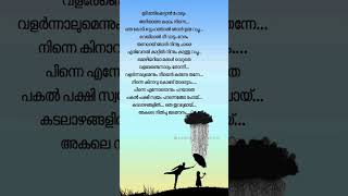 Pinne ennodonnum parayathe lyrics trending shorts malayalamlyrical [upl. by Viking518]