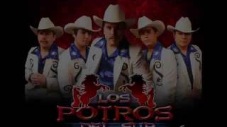 los potros del sur  basto 2011wmv [upl. by Atsirhcal]