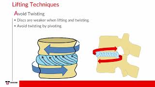 Traditional Manual Materials Handling Tasks [upl. by Nalaf]