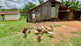 Ele escolheu Viver aqui no sítio e ainda Faz rapadura de vários sabores  jabuti Paraná… [upl. by Ebanreb]