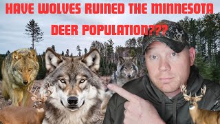 Northern Minnesota Deer Hunt Have the Wolves Completely Ruined Deer Hunting [upl. by Janek]