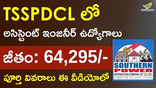 TSSPDCL AE Electrical Recruitment 2022 in Telugu Salary Eligibility TS Govt Jobs [upl. by Parrisch719]