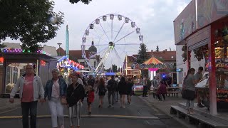 PUNKTum Kobermännchenfest in Sangerhausen gefeiert [upl. by Waine644]