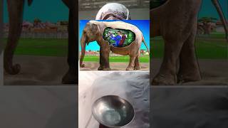 Best editing for muslims🕋youtubeshorts shortvideo shortsfeed [upl. by Atteram660]