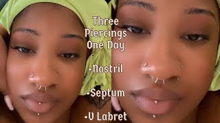 Three Piercings In One Day Nostril  Septum  Vertical Labret [upl. by Espy]