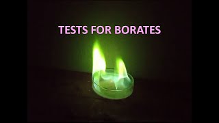 Tests for borates [upl. by Schober]